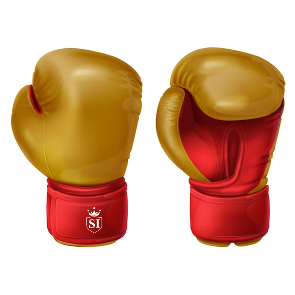 6 Boxing Gloves - Image 1